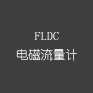 FLDC 电磁流量计