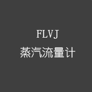 FLVJ 蒸汽流量计